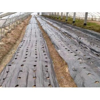Pre-Punched Planting Fabric