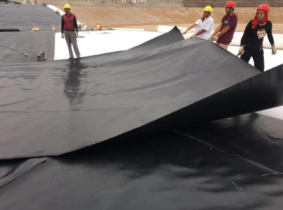 LDPE Geomembrane (Low-Density Polyethylene Geomembrane)