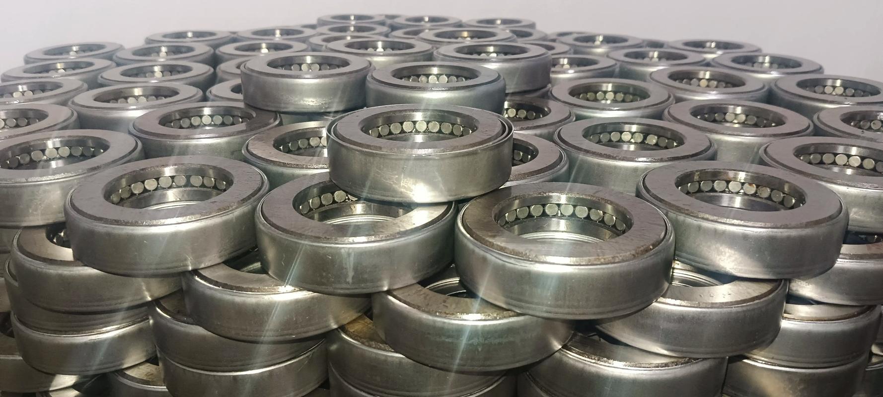 Large Size Heavy-Duty Industrial Bearing