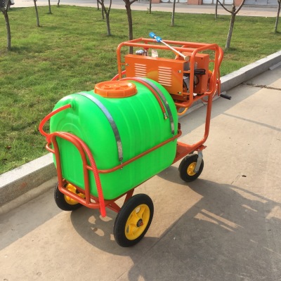 Walk-Behind Orchard Sprayer
