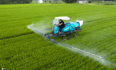 Walk-Behind Self-Propelled Sprayer