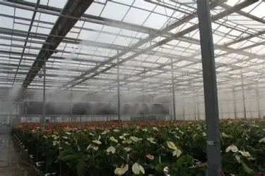 Greenhouse Rail-Mounted Sprayer