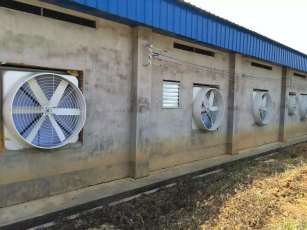 Tunnel Ventilation Fan for Livestock Housing