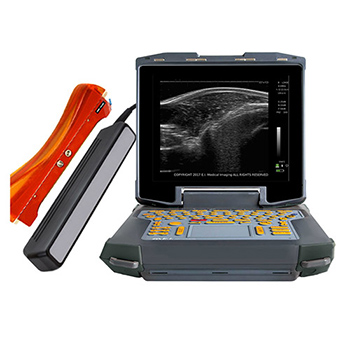 Backfat and Loin Muscle Area Ultrasound Scanner