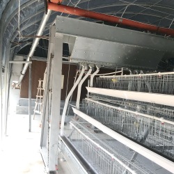 Système automatisé de cage de batterie de couche