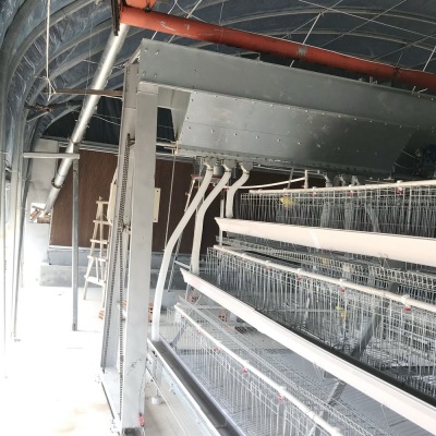 Automated Layer Battery Cage System