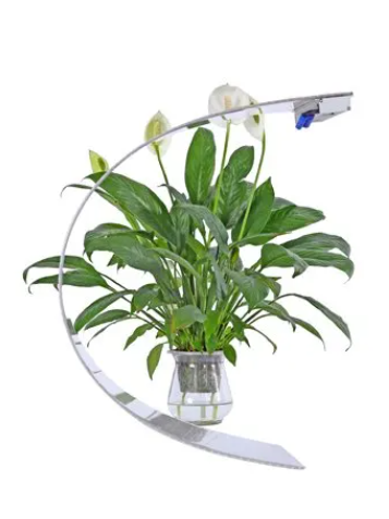 High-Transparency LED Glass Display