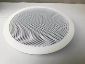 Compact In-<span>Ceiling</span> Multi-Function Hall Audio System