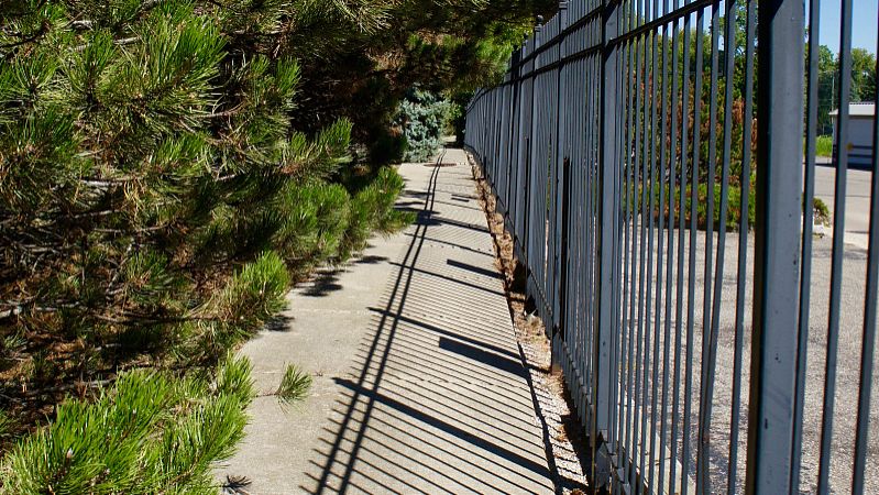 Pet Smart Electronic Fence Alarm System