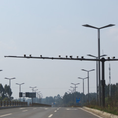 Heavy-Duty Traffic Toll Monitoring Pole