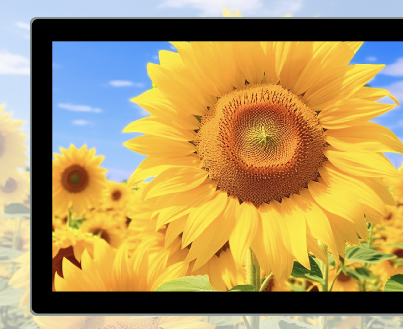 21.5-inch Capacitive Touch LCD Advertising Screen